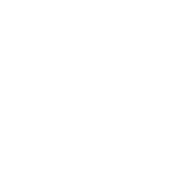 Icone de livraison