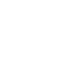 Icone magasin