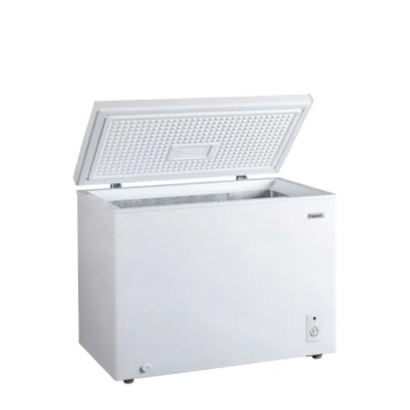 [CCO300BE] Congélateur Frigelux CCO300BE